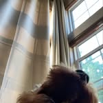Clark_pate - @clark_pate - Instagram