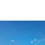 @clarkpatel937 - Instagram