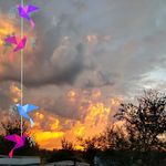 Clark Pearson - @clark.pearson.777 - Instagram