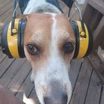 Clark Porter - @clark.porter.1023 - Instagram
