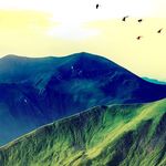 Animals - @clark_simpson - Instagram