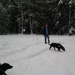 Clark Simpson - @clark.simpson - Instagram