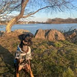 Clark Kent Stevens - @clarkkent_superdog_ - Instagram