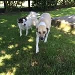 Margaret Clark-Stevens - @margaretclarkstevens - Instagram