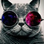 clark thomson - @thomson_clark - Instagram