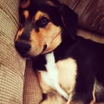 Clark Tuttle - @clarktuttle - Instagram