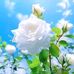 Clark Watson - Facebook