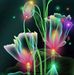 Clark Watson - Facebook