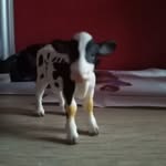 Clark Wilson - @clarkwilson8 - Instagram