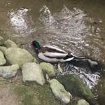 Clark Wong - @clarkwkw - Instagram