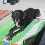 Claude becker - @claude_becker - Instagram