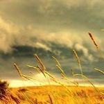 🌽 - @claudecameron09 - Instagram