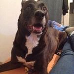 Claude Cyr - @claude.cyr.127 - Instagram