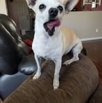 Claude Dixon - Facebook