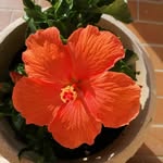 Claude dupuis - @dupuis4842 - Instagram
