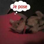 Claude Dupuis - @claude.dupuis3 - Instagram