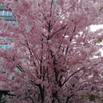 Claude Dupuis - @claude.dupuis.123276 - Instagram