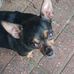 Claude Evans - Facebook