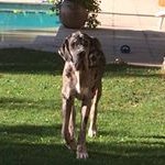 Claude Gordon - @gordon.claude - Instagram