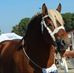 Claude Guy - Facebook