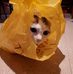 Claude Guyon - Facebook