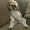 Claude Jacobs679 - @vrweirdos - TikTok