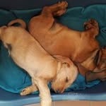 Claude Jacques - @claude.jacques2209 - Instagram