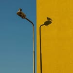 Claude Lévesque - @claude_levesque - Instagram