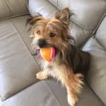 Claude Levy - @claude.levy49 - Instagram