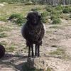 Claude Emmanuel - @claude.emmanuel2 - TikTok