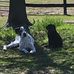 Claude Manuel - Facebook