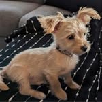 Marie-Claude Massé Daniel Piché - @marieclaudemasse22 - Instagram