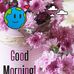 Claude Mayer - Facebook