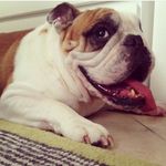 claude_mcgee - @claude_mcgee - Instagram