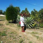 claudette mclean - @claudettemclean64 - Instagram