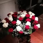 Claude Morel - @morel458 - Instagram