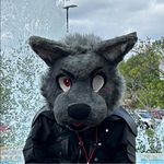 Claude C. Page - @claudewilson01 - Instagram