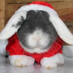 Claude Page - @claude.page - Instagram