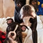 Claude Peterson - Facebook