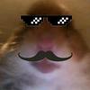 Claude Poulin - @ralfidou - TikTok