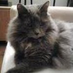 Jean-Claude Poulin - @jeanclaude_poulin - Instagram