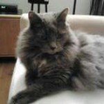 Jean-Claude Poulin - @poulinjeanclaude - Instagram