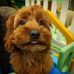 Claude Proctor - Facebook