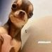 Claude Proctor Blake - Facebook