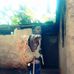 Proctor Prince Claude - Facebook