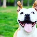 Claude Roche - @clauderoche6 - Instagram