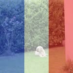 Claude Roche - @claude.roche.16 - Instagram