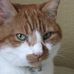Claude Watts - Facebook