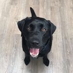 Claude Whitaker - @theclaudewhitaker - Instagram