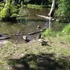 claudeljean821 - @claudeljean821 - TikTok